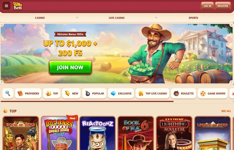 Overview of billybets